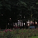 PICT0018