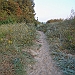 DSC01126