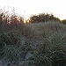 DSC01128